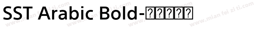 SST Arabic Bold字体转换